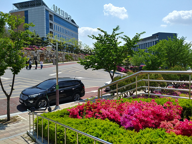 3학년이 찍은 학교사진 2